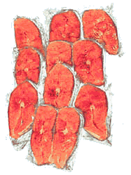 King Salmon Steaks